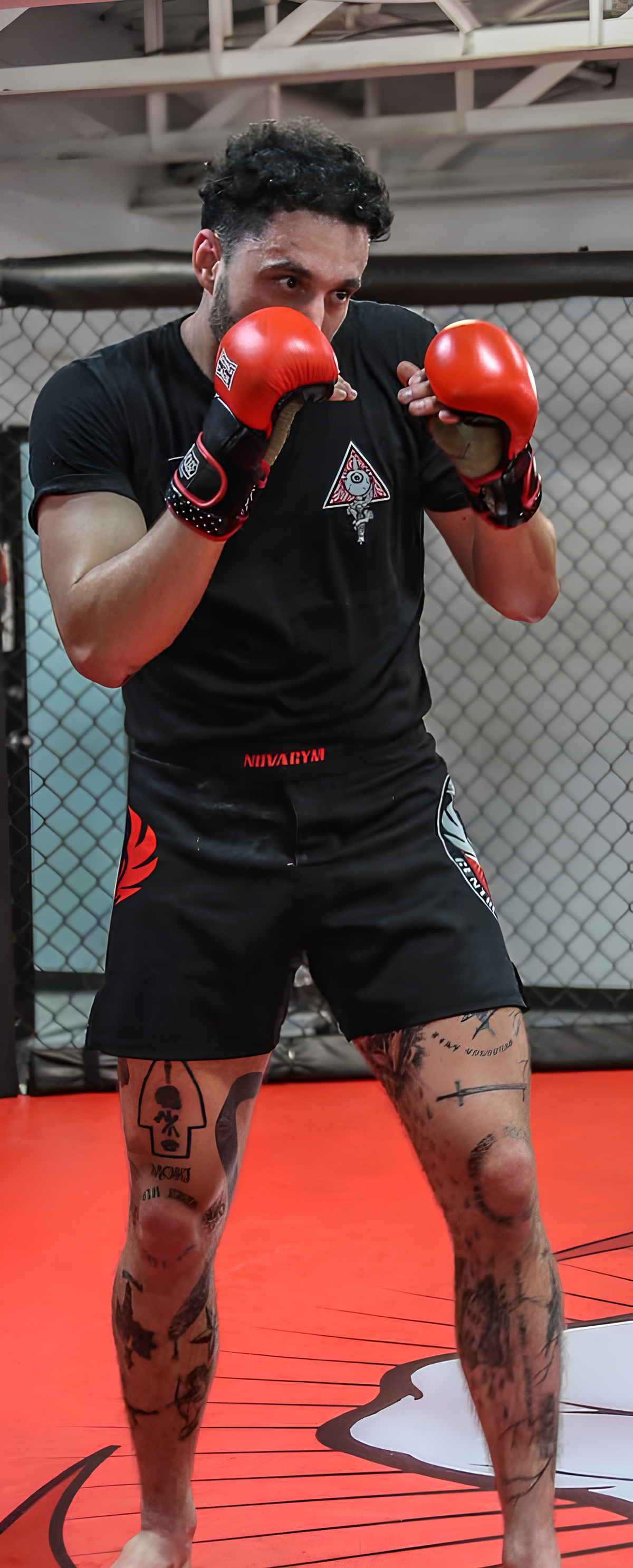 Zac Lefebvre